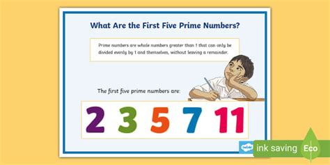 What Are the First 5 Prime Numbers[Solved] .